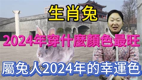 2024屬兔幸運色